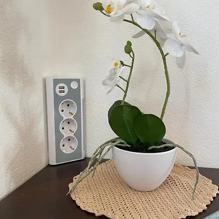 Apartman Haus Wittig *