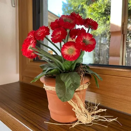 Apartman Haus Wittig Sankt Ulrich am Pillersee