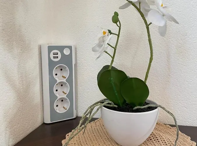 شقة Haus Wittig *